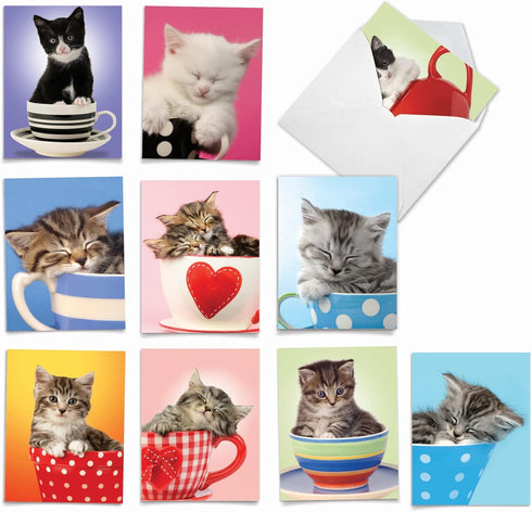 The Best Card Company 10 Adorable Blank Cat Cards (4 x 5.12 Inch) - Cute Kittens Assorted Bulk Notecard Set - Cup-Cats