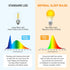 Bulbs, 9W, 60W A19, 1800K, (6) Neporal Amber Light Equivalent, Soft, Blue Light Blocking, Warm, Night Light, Dim