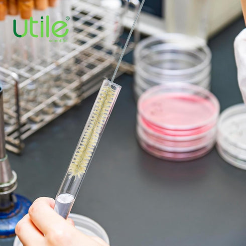 Utile 7 Pcs Lab Cleaning Brush Set, 7 Sizes including Beaker, Buret, Cylinder, and Tube Brushes