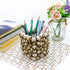 Halloween Decor Skull Pen Holder - Goth Human Skull Makeup Accessory Brush Holder for Desk Gothic Spooky Pencil Cup Desktop Storage box Organizer for Home Office Women Man Birthday Gift