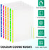 Premium Heavy Duty Sheet Protectors for 8.5x11 - 24 Pack, Color Edge, Side and Top Loading, Crystal Clear