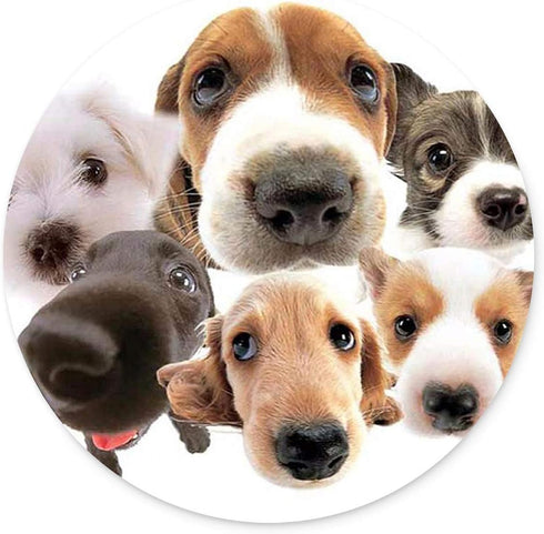 Round Mouse Pad with Dog Design, Customized Non-Slip Rubber Gaming Mouse Pad for Office Work