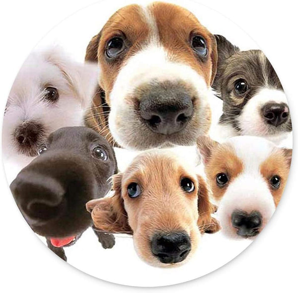 Round Mouse Pad with Dog Design, Customized Non-Slip Rubber Gaming Mouse Pad for Office Work
