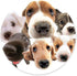 Round Mouse Pad with Dog Design, Customized Non-Slip Rubber Gaming Mouse Pad for Office Work