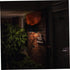 Solar Powered Wall Light - Elegant Outdoor Garden Lamp