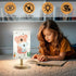 HFYCENYAN Lamps,3Color Kids Lamp,Girls for Bedroom Nightstand Modes LED Bedside Night Light with Koala Bear Cartoon