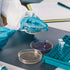 Xuhal 200 Pack Sterile Petri Dishes with Lid, 90mm Dia x 16mm, Plastic Petri Plates for Lab