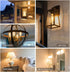 BORT Dimmable LED Edison Bulbs, 6W Equivalent to 60W, E26 2700K Vintage Light Bulbs, 6 Pack