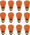 Xtricity Incandescent S14 Edison Light Bulb, String Light Replacement, E26 Medium Base,