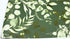 HAOKHOME 93042-4 Peel and Stick Wallpaper 17.7in x 9.8ft Boho Sage Green Eucalyptus