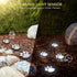 16.8ft (Set 8) Paw Print Solar Lights - Dog Cats Animal Solar String Lights of Outdoor Waterproof, Cat Puppy Animal