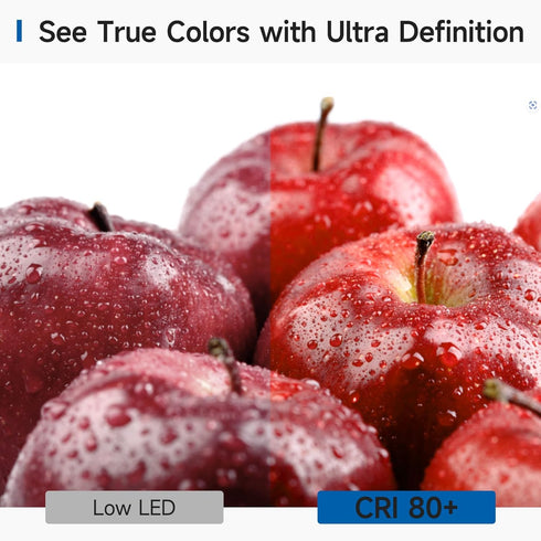 E26 5000K Bulb, 800 60W A19 Bulb 9W, 80+CRI, Bulbs SHINESTAR Base LED Light Lumens, Equivalent Standard White LED