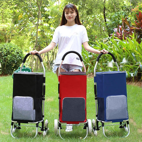 SH-gwtc 43L (Size:12.2 9.8 x21.7 Shopping Cart Replacement Bag, Trolley Waterproof Spare Bag, with Side Pockets