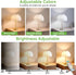Bulbs 2600mAh Bulb 3 Dimmable (E26, Hook),1 Pack Kimjo Rechargeable Light with Remote, Keep Lighting During Power