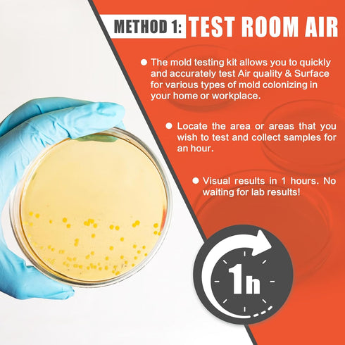 Revanak 10 Mold Testing Kit for Home Air Quality - Test Room, DIY Home Mold Detector Kit, Home Air & Surface, HVAC