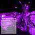 16ft 50 8 MULTI-SPARKING Battery Operated Halloween Lights LED Mini String Lights for Small Tree, Wreath, Crafts