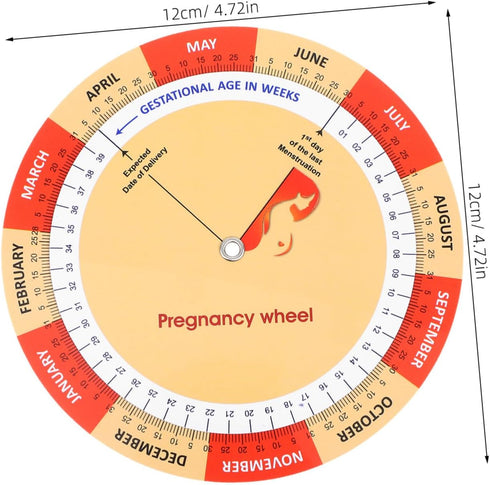 2pcs Healeved Fetal Development Tracker Chart for Expecting Mothers Comprehensive Guide for Growth Timeline