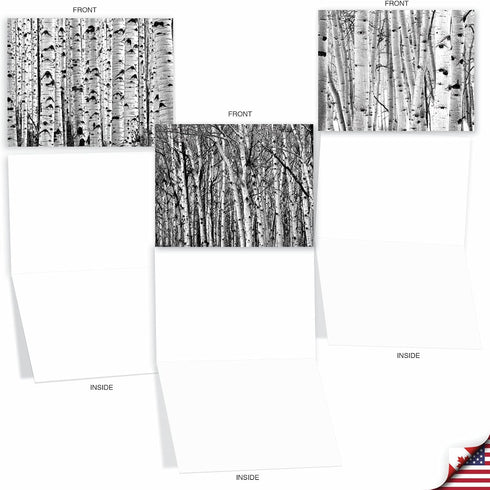 The Best Card Company - 10 Blank Note Cards with Envelopes (4 x 5.12 Inch) - Bulk Boxed Set of Black & White Photos