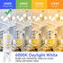 6 Pack Dimmable G9 Bulb 4W 40 6000K, T4 G9 9 Bulb 120V 450LM TJOY LED Equivalent Watt, Daylight White Bi-pin Base