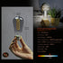 ST19 LED Smoky Grey Glass Edison Bulb, Vintage, 6 Pack, Daylight 5000K, E26 Base, 4.5W Equivalent to 40W