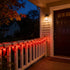 35 Commercial 18 LED Red Chili Pepper Christmas Lights, Grade Home Decorative Lighting String Green Wire FT