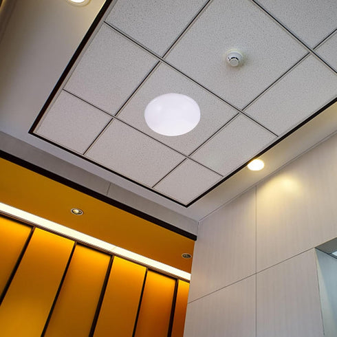 10.6 INCH POPETPOP Replacement Mushroom Light Shade Flush Mount Ceiling Light Covers Plastic Lamp Dustcovers for Wall
