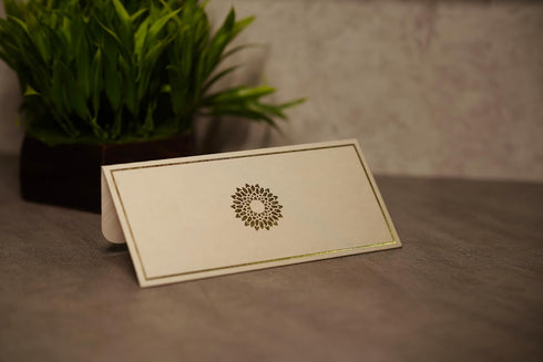 Shagun Envelope in Pistachio Color with Gold Foil, 7.25" x 3.5", Pack of 20, Cash Money Envelopes for Gifts