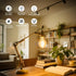 A19 Bulb Dimmable, 2700K E26 Bulb 6W, 60 A19 Bulb 90+CRI, 600LM, 12 Pack GvvooHome Clear Glass LED Edison Soft White