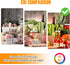 G9 Bulb 6000K 4W (40W AC120V 400LM G9 Bulbs 360 Non-dimmable, 5 Pack YUIIP LED Daylight White Halogen Equivalent), Bi