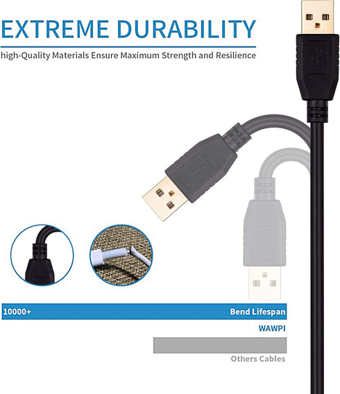 30Ft, Cameras(10M/30Ft) Tan QY USB A to A Male Cable Double End USB Cord with Gold-Plated Connector for Hard Drive