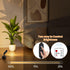 5W Dimmable 5.9FT 2 Pack Zoomable LED Spot Lights Indoor Uplighting with Remote & Timer, Up Lights Indoor Plant