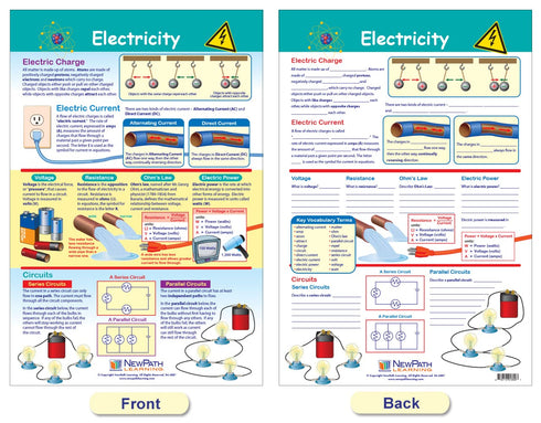 NewPath Learning Electricity & Magnetism Bulletin Board Charts, Set of 3, Laminated, 12" x 18"