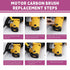 Electric Motor Carbon Brushes, 40Pcs 10 Different Models for Maintenance of Carbon Brush Motors