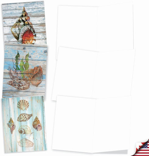 The Best Card Company - 10 Blank Note Cards with Envelopes (4 x 5.12 Inch) - Bulk All Occasion Cards Boxed - Driftwood
