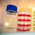 Patelai 4 Pieces Borosilicate Glass Round Media Storage Bottles, 250 ml with GL45 Blue Screw Cap for Lab Liquids