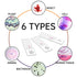 100Pcs Prepared Microscope Slides Set, Professional Specimens for Kids and Student Homeschool Use