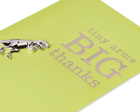 Papyrus Humorous Blank Thank You Card - Big Thanks
