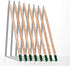 Sprout Wood-Cased Pencils | Spread the Love Edition | 8 Pack of HB Pre-Sharpened Graphite Plantable Pencils