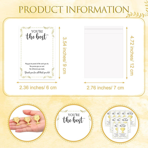 Juinte 60 Sets Employee Appreciation Gifts Bulk Trophy Pins with Thank You Cards Organza Bags Inspirational