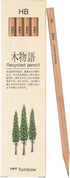 Tombow Pencil Tree Story HB, 1 Dozen LA-KEAHB