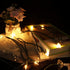 8.6Ft 10 Counts MULTI-SPARKING Christmas Lights Classic Clear Incandescent Mini String Lights Green Wire Warm White