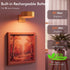 Kandicyar 3-Pack 13 Picture Lights for Wall, RGB Color Changing Led Art Display Light with Rechargeable Battery