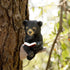 Sitting Bear Tree Hugger with Solar LED Light - Baby Bear Reading Book Garden Statue for Lawn, Yard, Patio Decor