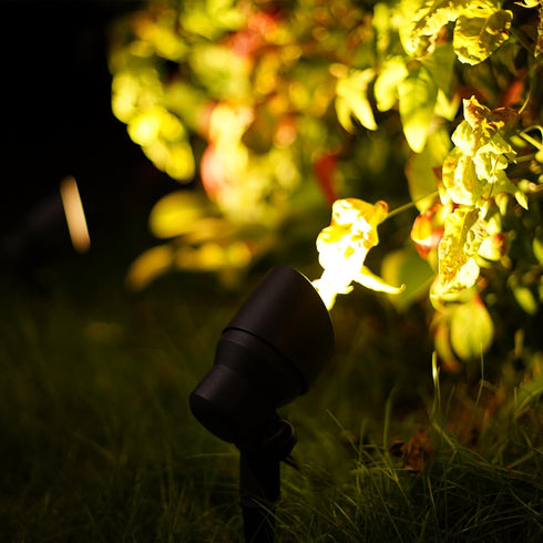Lighting Living 6 12V Malibu LED Floodlight Low Voltage Landscape Lighting Outdoor Spotlight for Walls Trees Flags