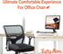 Seat Cushion & Lumbar Support - Ergonomic Memory Foam Pillows for Sciatica & Back Pain Relief - Comfort for Driving
