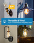 6 Pack Bulbs ST64, Bulb, 800 8.5W (60W 4000K E26 Dimmable Sunco Edison LED Clear Vintage Filament Waterproof LM