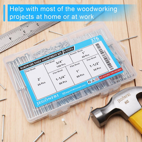 376pcs Premium Hardware Nails Assortment Kit, Maximum Length 2 Inches, Galvanized, Picture Hanging, Wood, Wall with