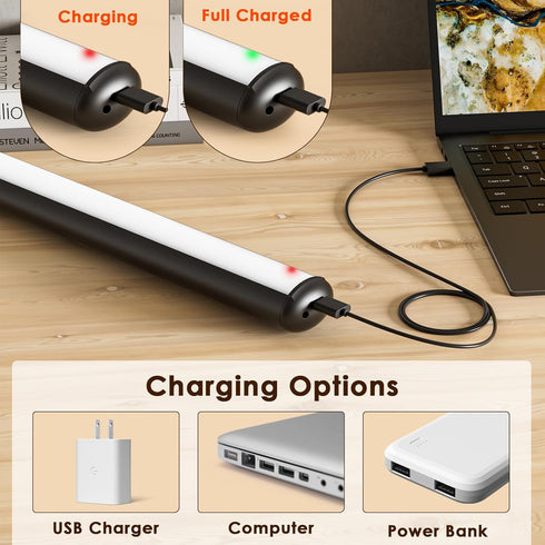 3 Dimmable 12.6" 1Pack Picture Light for Wall with Remote, Wireless Battery Operated Wall Lights with Colors & Timer