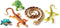 Learning Resources Jumbo Reptiles & Amphibians Set, 5 Animals, Ages 3+, Tortoise, Gecko, Snake, Iguana