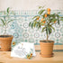 50 Whaline Pcs Funeral Thank You Card Sunflower Eucalyptus Sympathy Thank You Card with Sticker Envelope Greenery